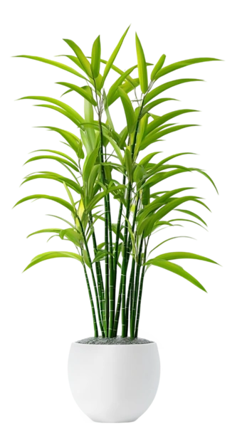 plant pot